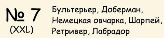 Намордник селиконовый для собак