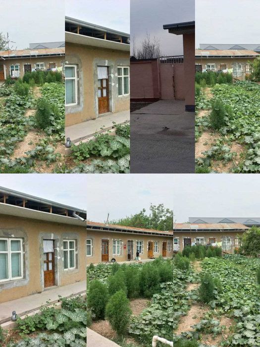 Занги отада 6 сотих уй сотилади