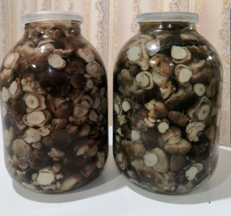 Пподам грибы соленые.