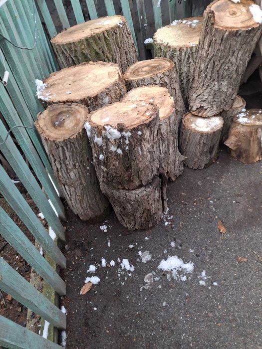 Продаются пеньки,дрова: орех, тополь.