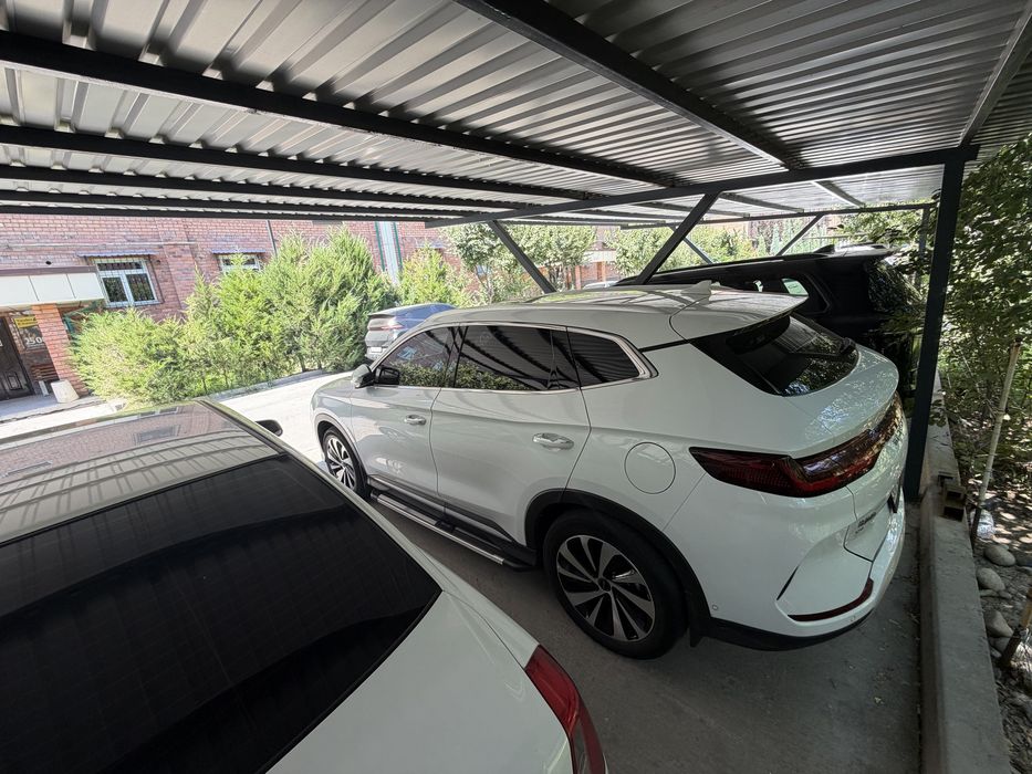 Byd chempion honnor