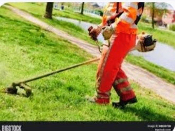 Întrețin spații verzi cu motocoasa