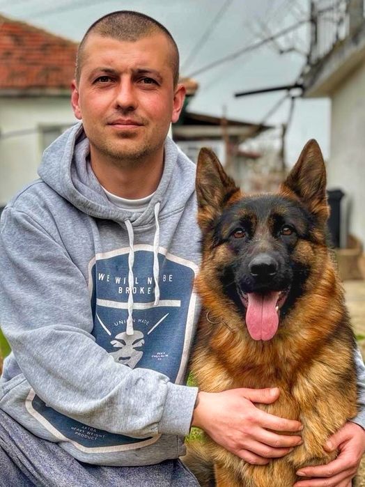 Немски Овчарки Женски