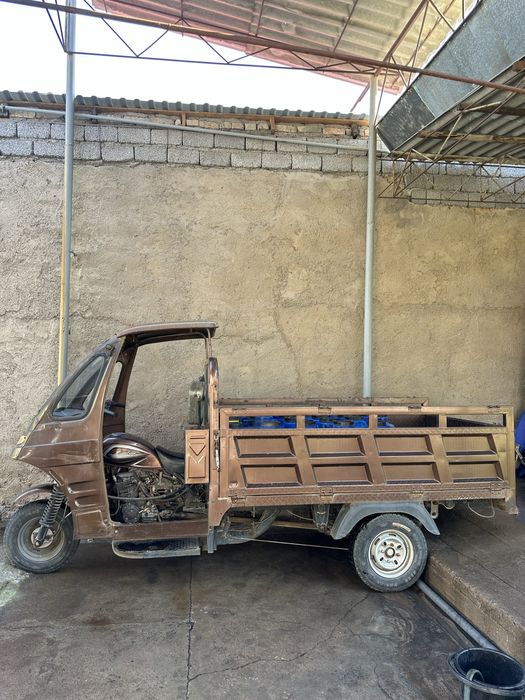 муравей зонлон ангрен