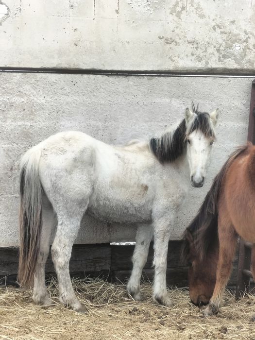 Жалаңаш және күлкілі фотолар