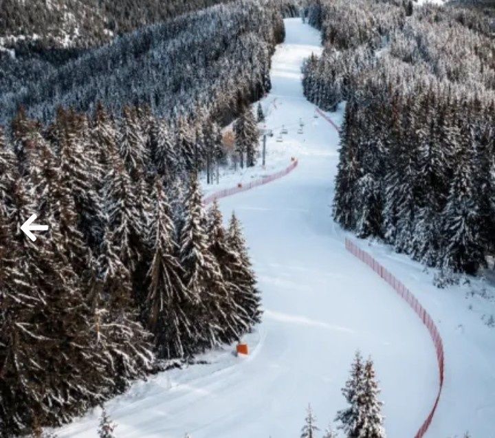 Продава се Парцел в к.к. Пампорово - 332 кв.м за 76 €/кв.м - Снимка #2