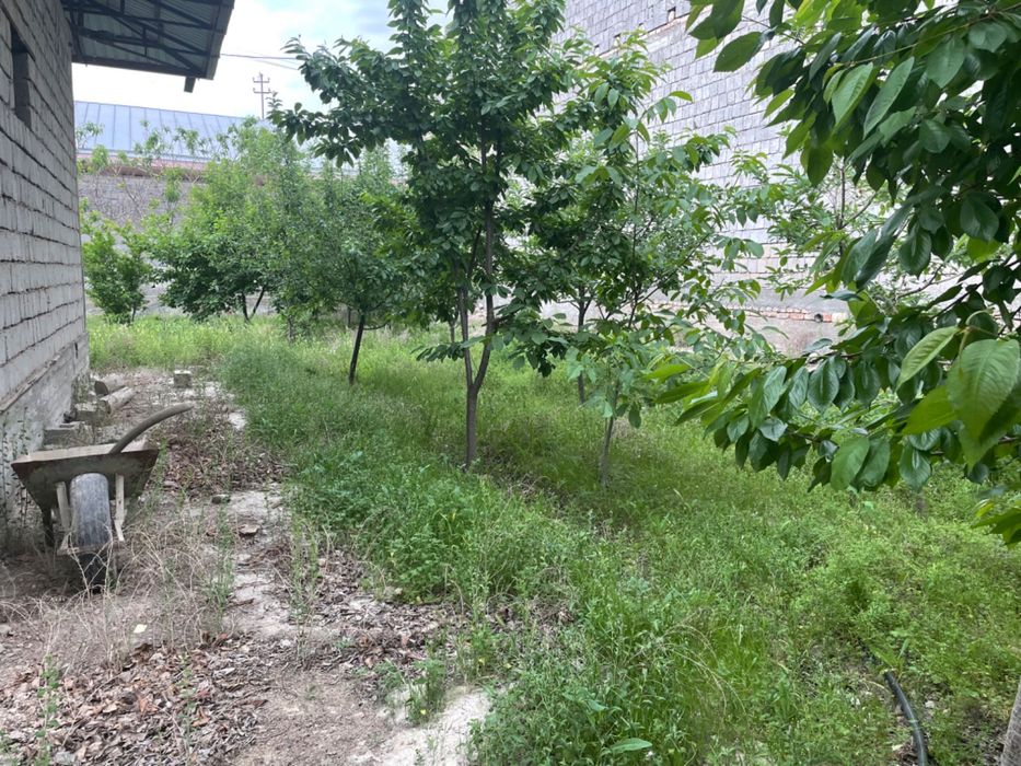 Участок 10 соток