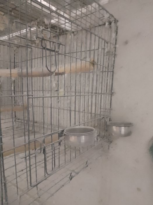 Клетки за средни папагали