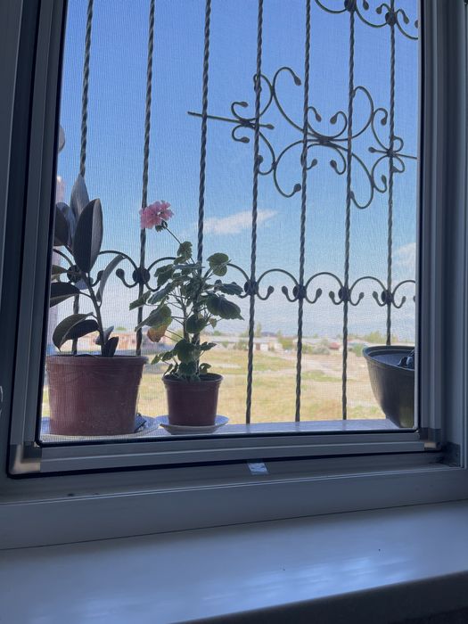 Маскетний сетка Masketniy setka