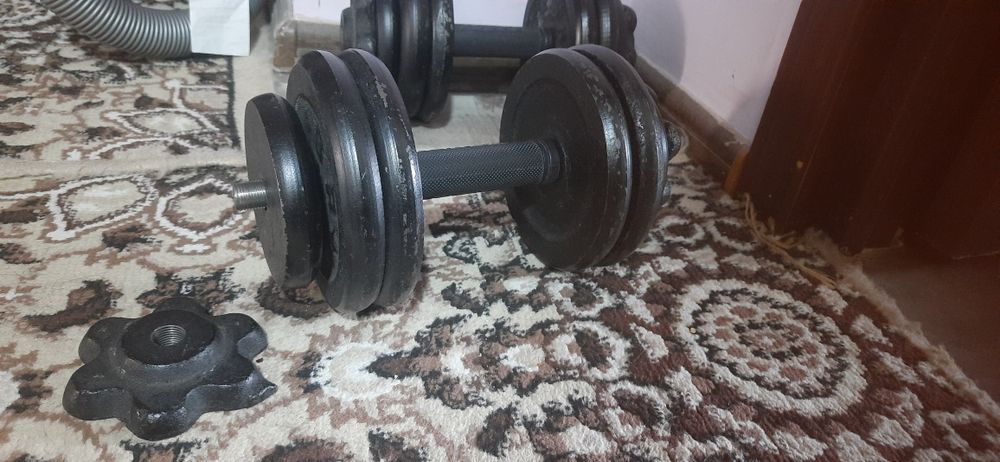 12 kg og'irlikdagi gantel