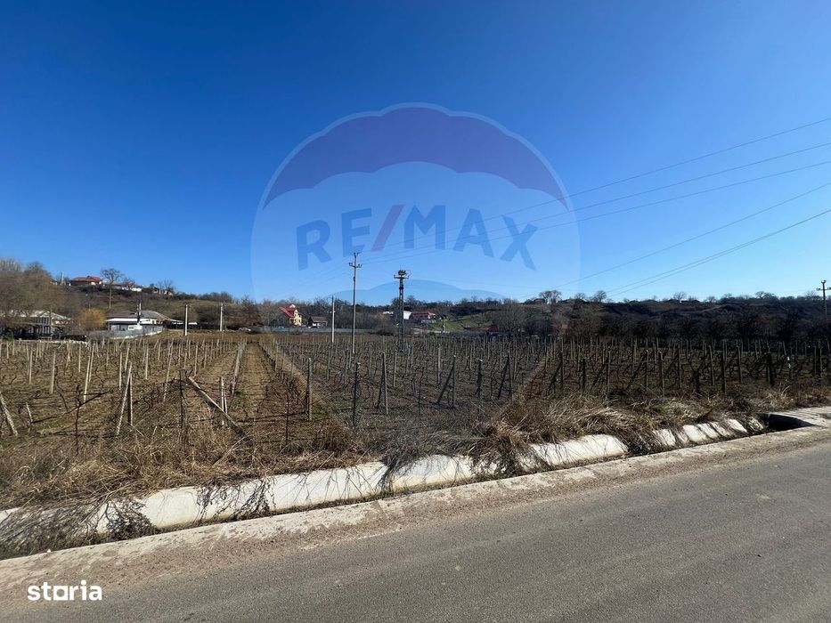 Teren intravilan Movilita, 2700mp