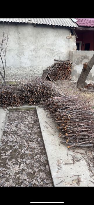 Отын тегын алып кетсеңіздер болады