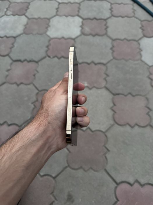 Продам Телефон 12 Pro Max