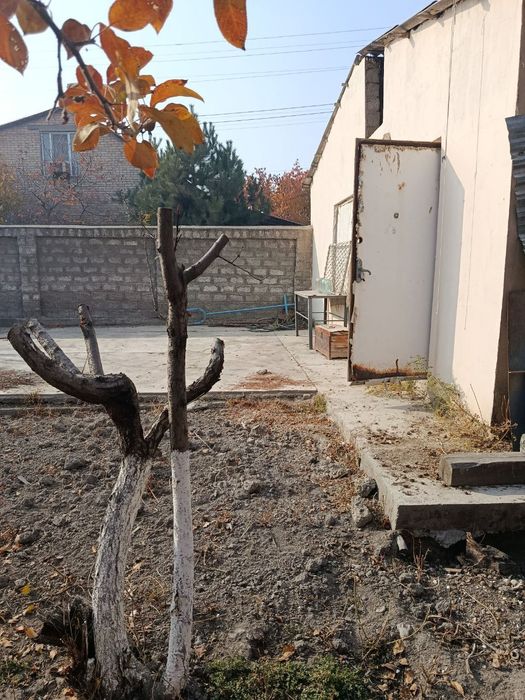 Продаю срочно дачу