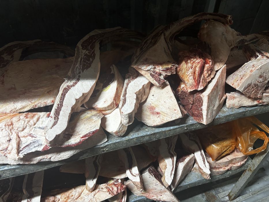 Продам жирных лошадей с откорма