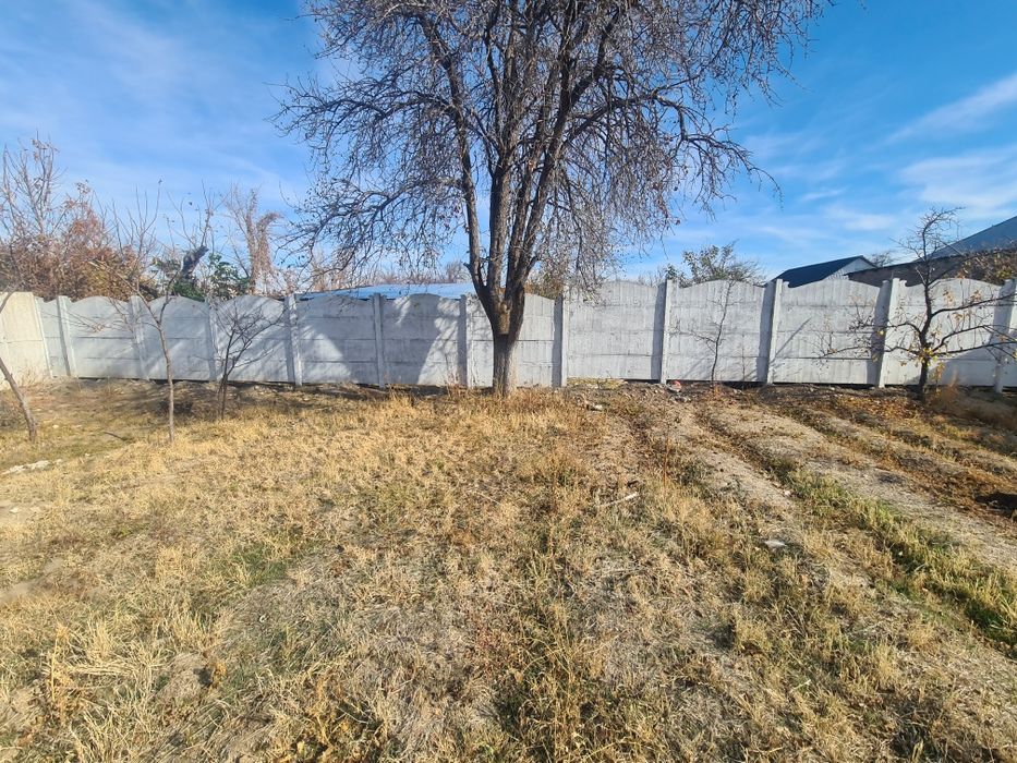 Дача чолдала химики