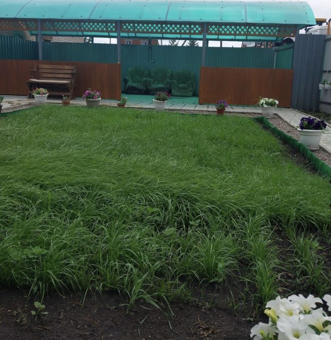 Продается котедж в Солнечном