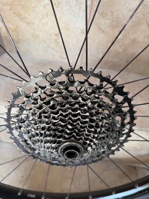 Roti DT Swiss E 1900 spline 29”