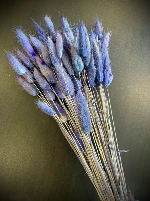 Сухи цветя за аранжиране