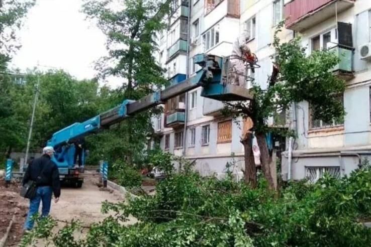 Спил деревьев вывоз мусора