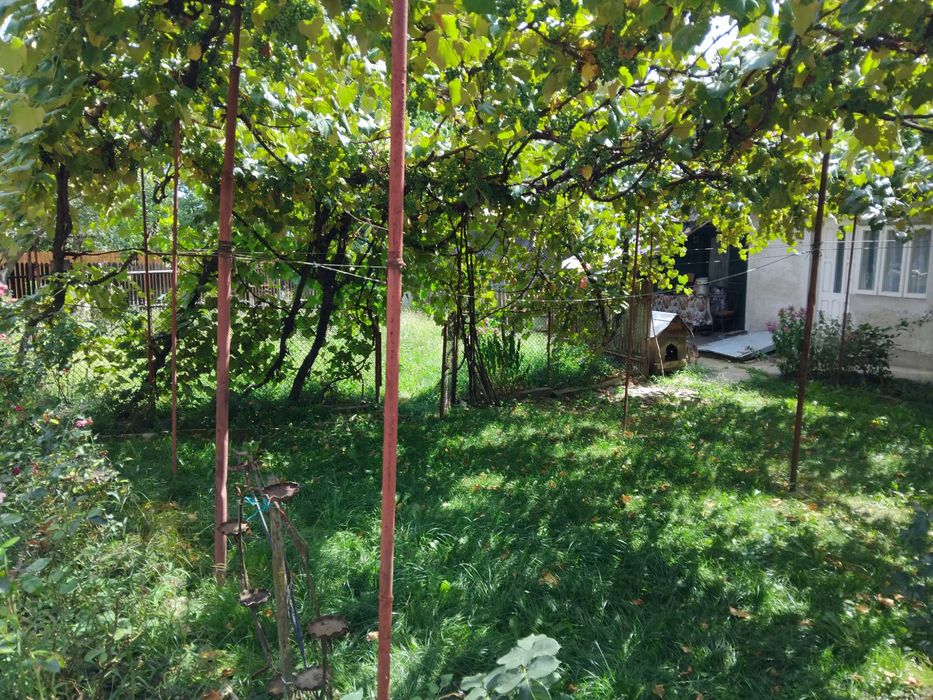 Locuinte pentru familii