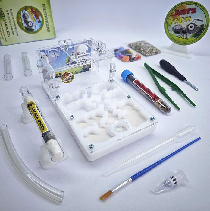 ГИПСОВЫЙ Формикарий "START" ||| Муравьиная ферма - Муравьи жнецы