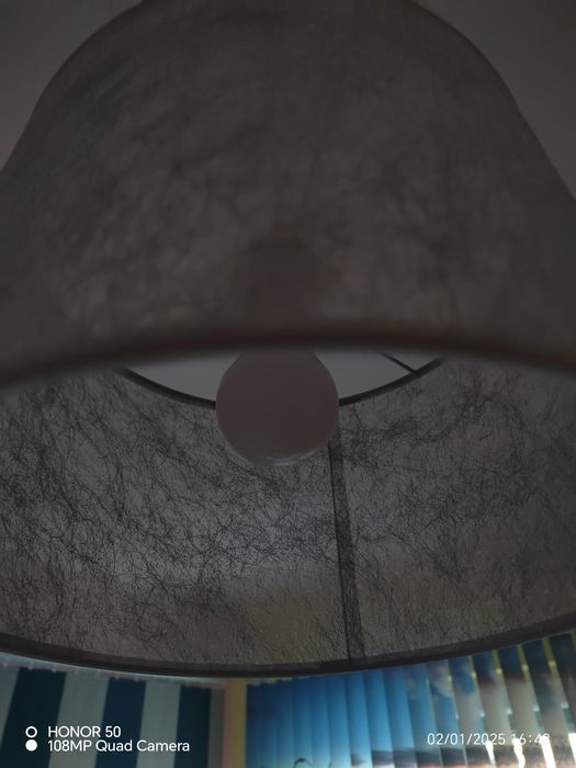 Полилей.    .  .