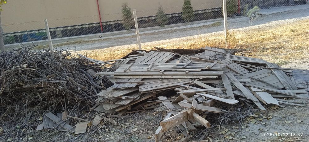 Утин сотилади мевали дарахтлар