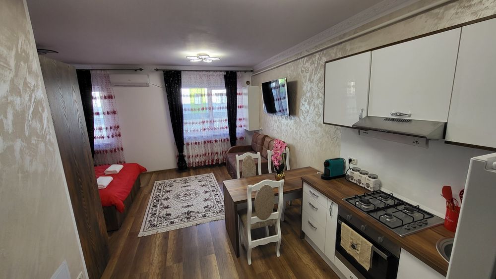 Aly Lux Studio. Apartamente în regim hotelier Suceava