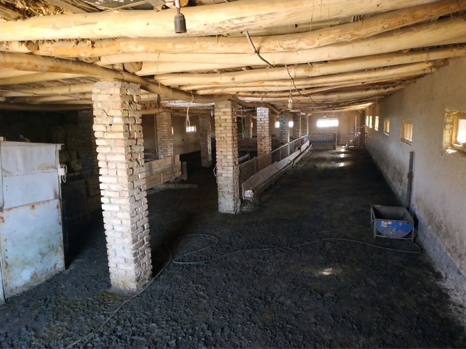 Ферма для животноводства.   г.Чирчик