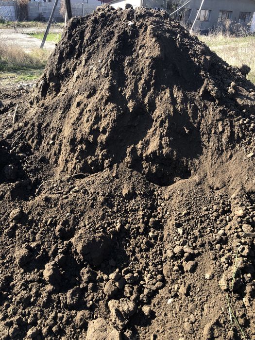 Vand pamant negru de gradina mranita ( vegetal)