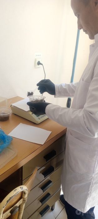 Qoʻy va echkilarni yungini olish va tuyoq kesish xizmatlari mavjud