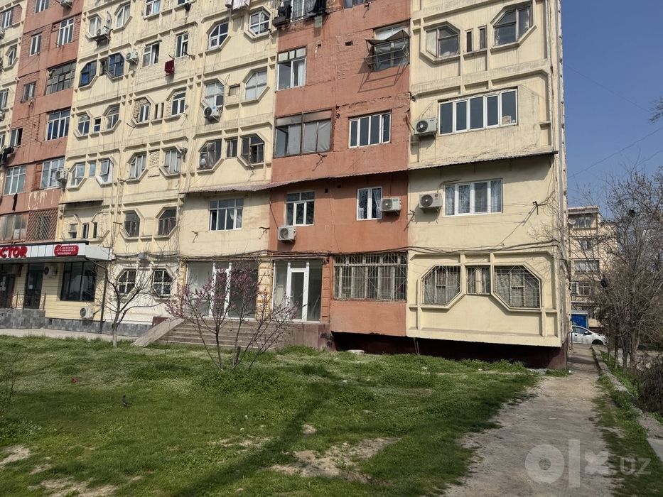 СРОЧНО «Куйлюк-5! 42 м², 1 этаж, вдоль дороги— перспективная инвестици