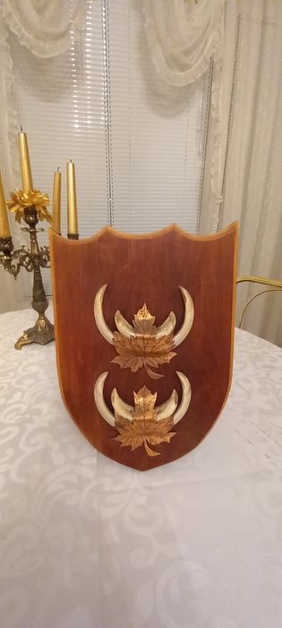 Немски трофеи диво прасе, документ, трофей