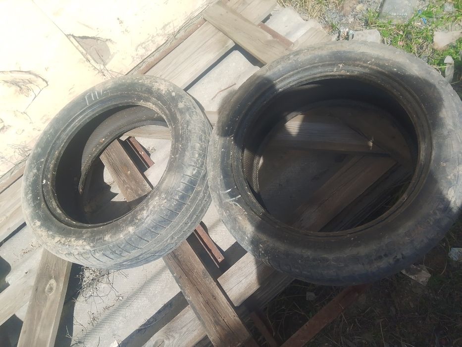 Еки ризина летный