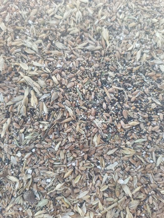 Зерноотходы хорошего качества