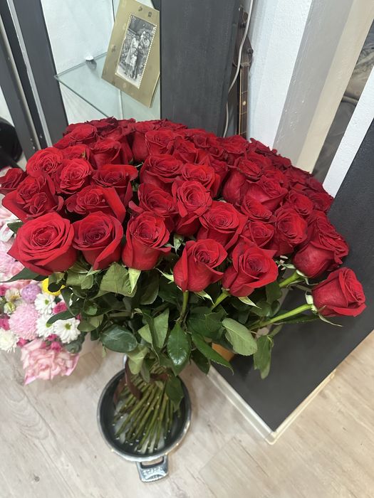 Продам розы 51 шт