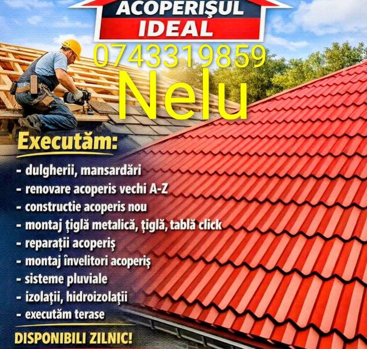 Nelu dulgherie Acoperișe