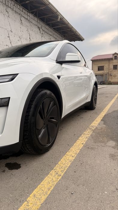 Tesla Model Y juniper