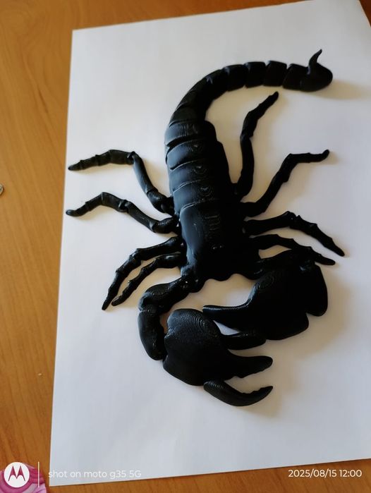 Продается скорпион