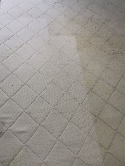 Curățare, igienizare, canapele, saltele etc.