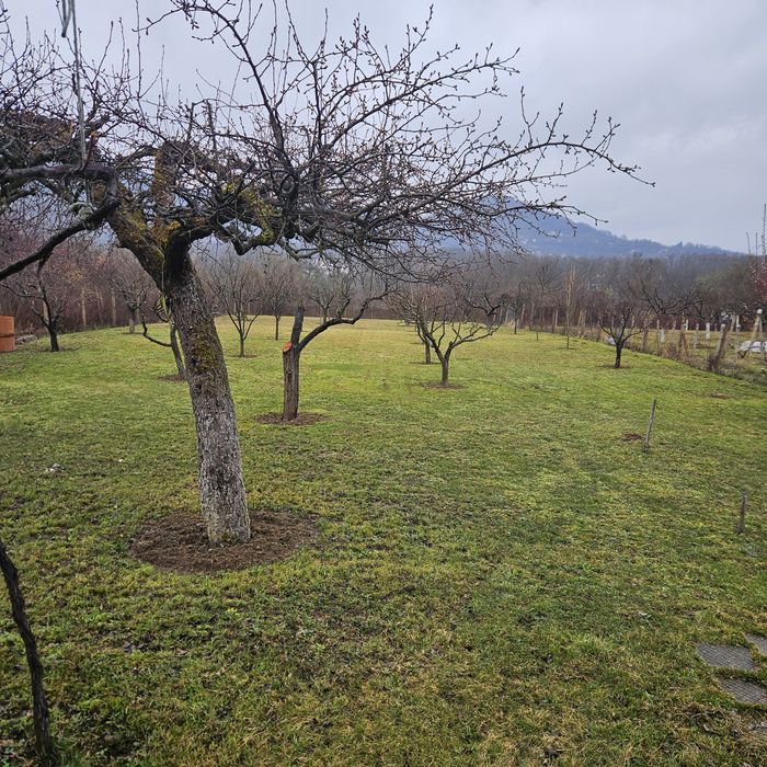 ВИЛЕН ИМОТ Врачански лозя,  м. Янкин връх