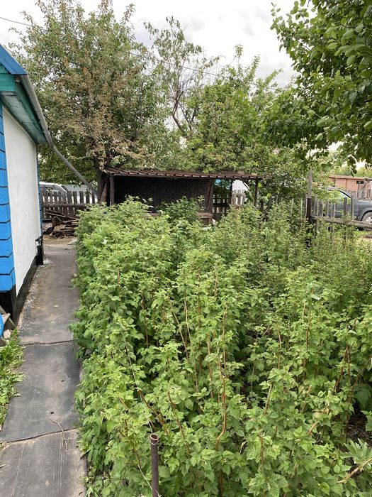 Продам 2 дачи вместе