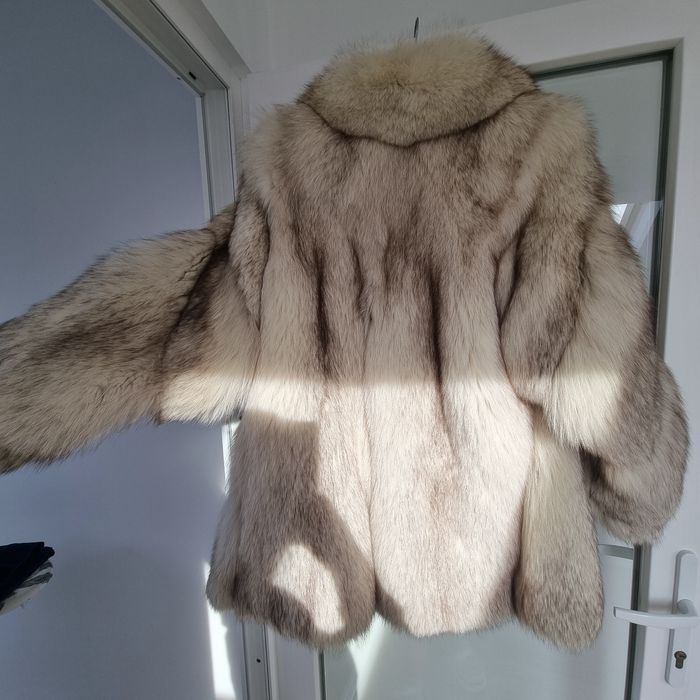 Vând blana vulpe argintie, stare foarte buna