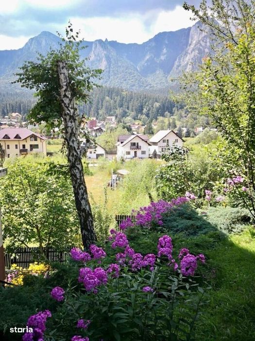 Vila Cartier Zamora//Busteni