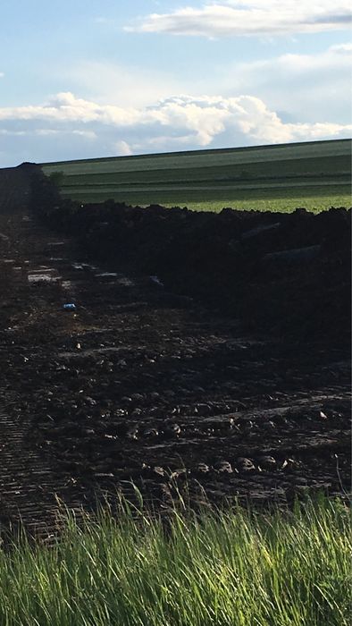 Pamant negru,gazon,gradina,solare