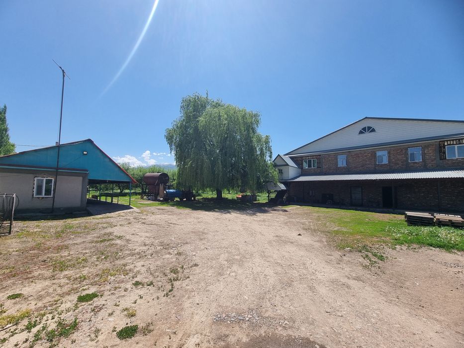 Яблоневый сад...