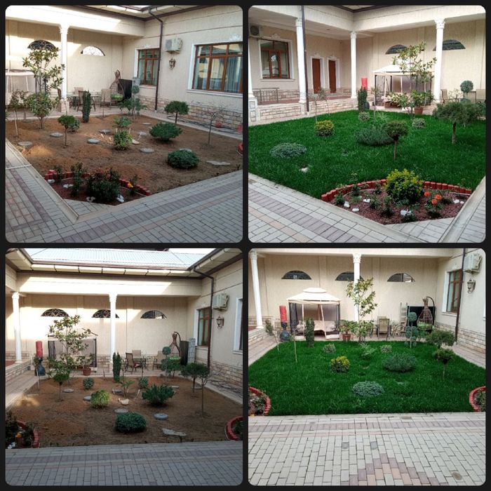 Газон посадка газон экамиз