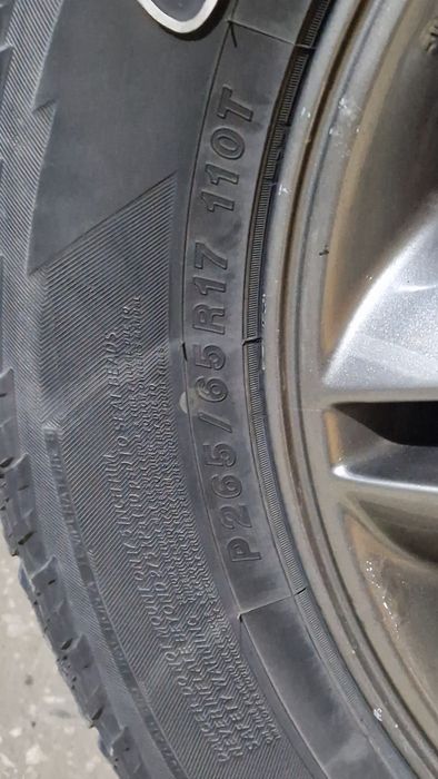 Доңғалақ жаздық лексустыкы