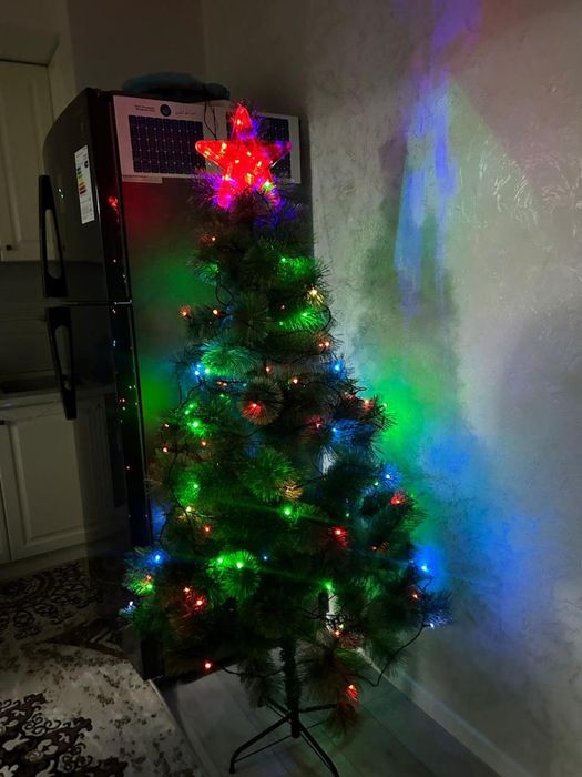 Продаю ЕЛКУ высота 175 см